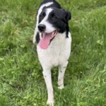 Received 2205667866871575