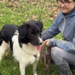 Received 2212993002519352