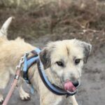 Received 2306856336394778