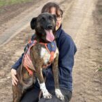 Received 2373031786461697