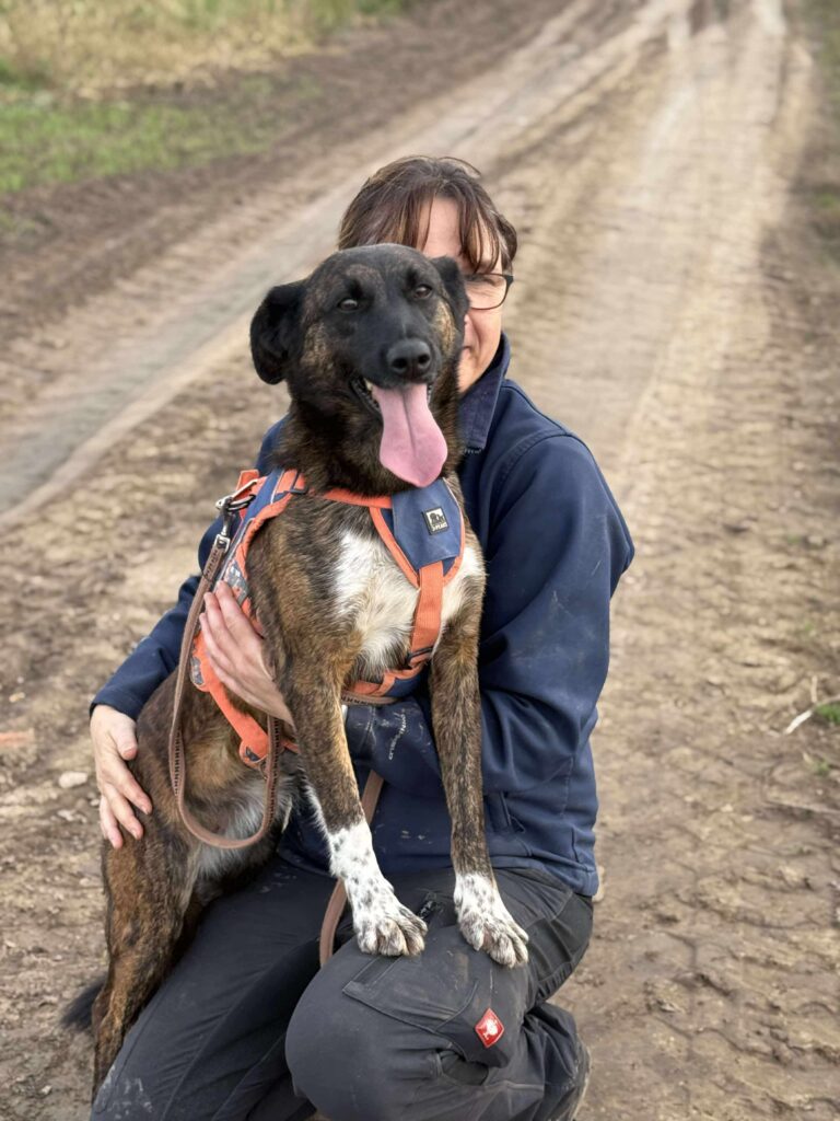 Received 2373031786461697