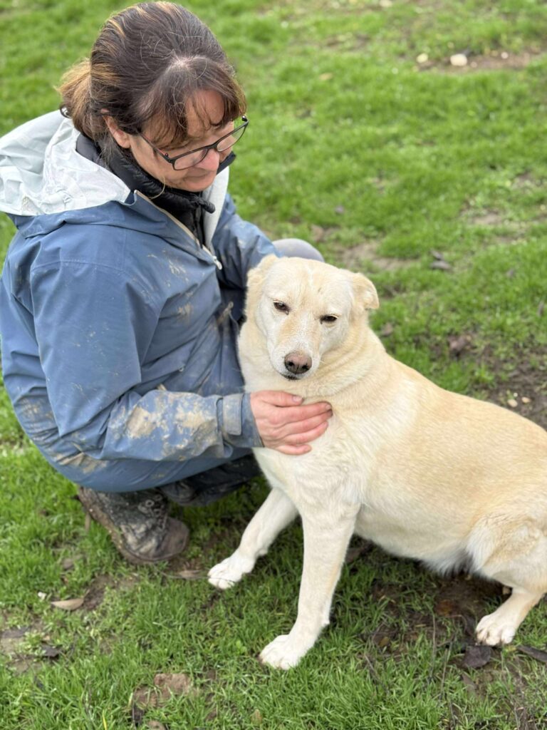 Received 2381017125688754