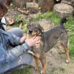 Received 2429792790775372