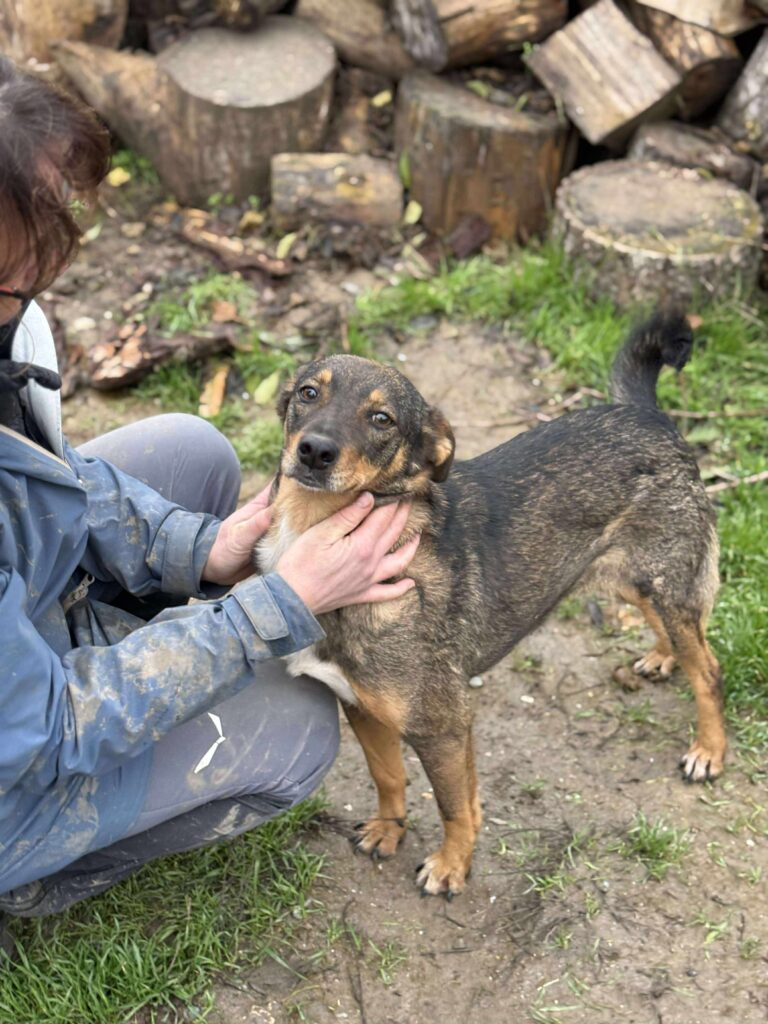 Received 2429792790775372