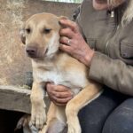 Received 2549072932128561