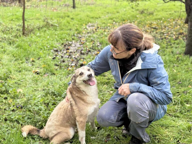 Received 25586575134281144