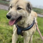 Received 25593354193593229