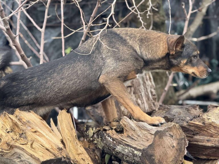 Received 2560728987627545