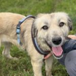 Received 2622523774777623