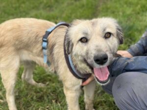 Received 2622523774777623