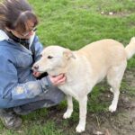 Received 2887791604750916