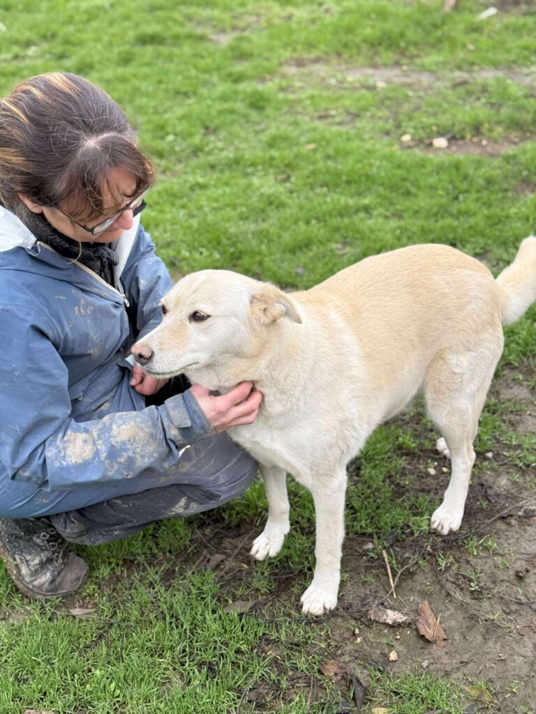 Received 2887791604750916