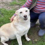 Received 2922543727933459