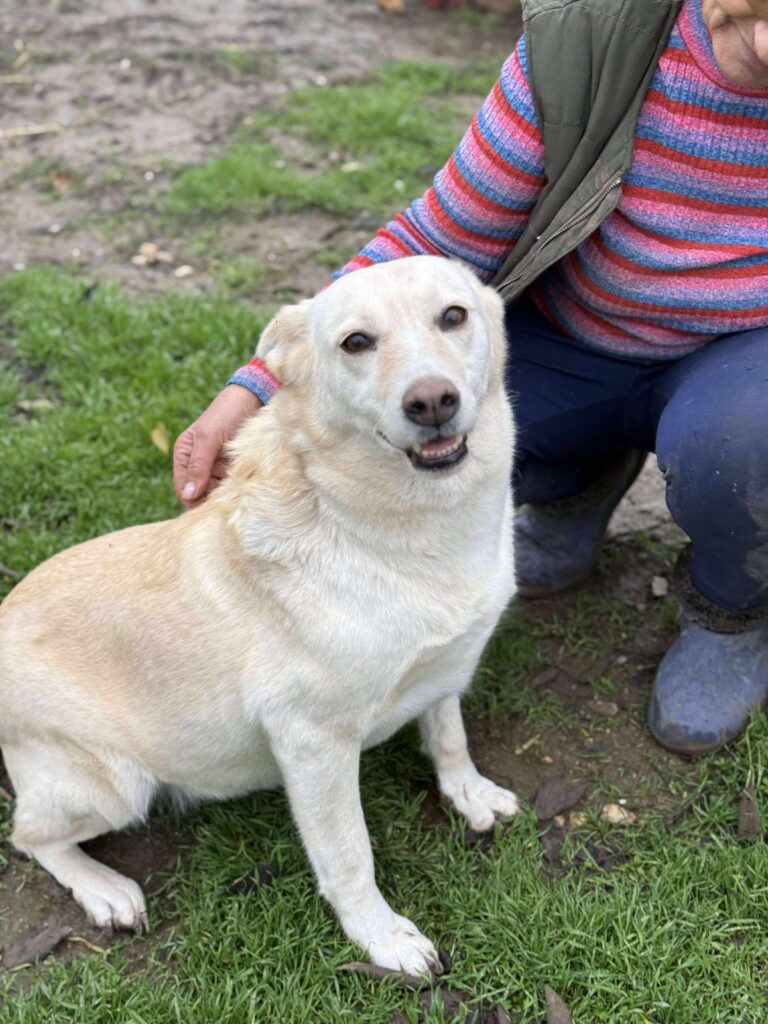 Received 2922543727933459