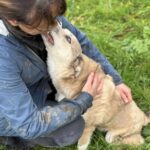 Received 32267092732934205