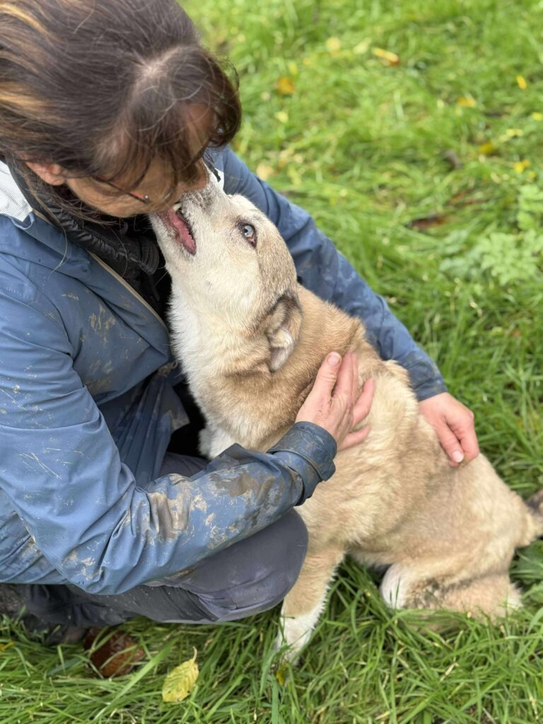 Received 32267092732934205