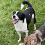 Received 32511096355171817