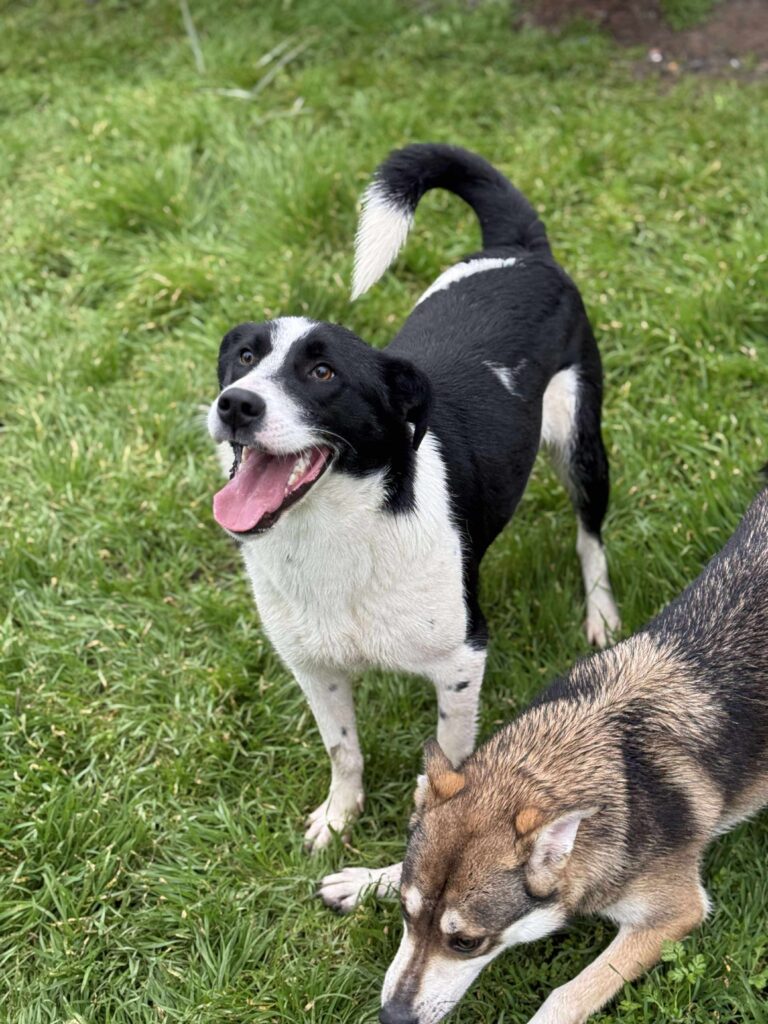 Received 32511096355171817