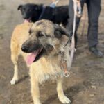 Received 4171973149788670