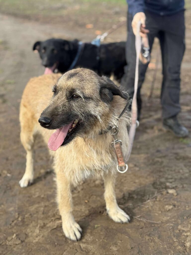 Received 4171973149788670