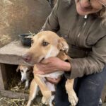 Received 665488763270033