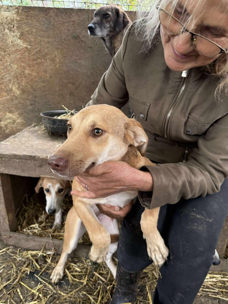 Received 665488763270033