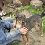 Received 743881321308025