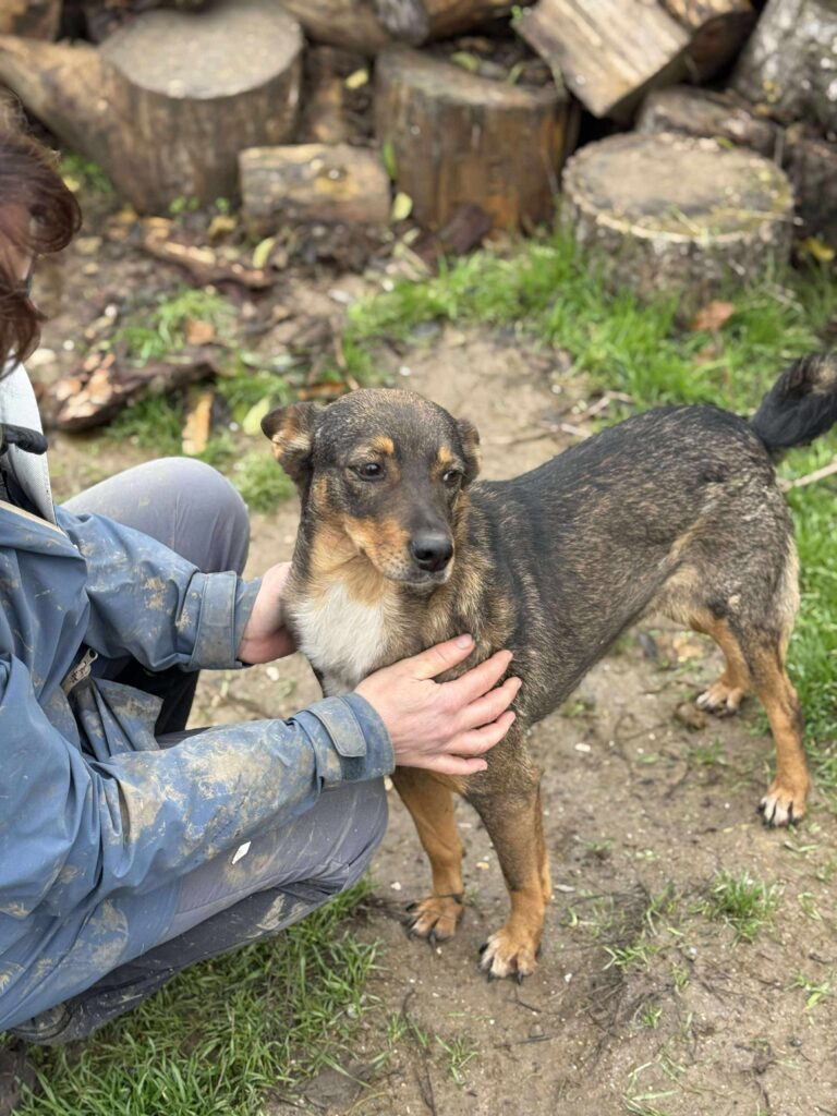 Received 743881321308025