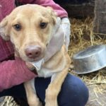 Received 767976576233861