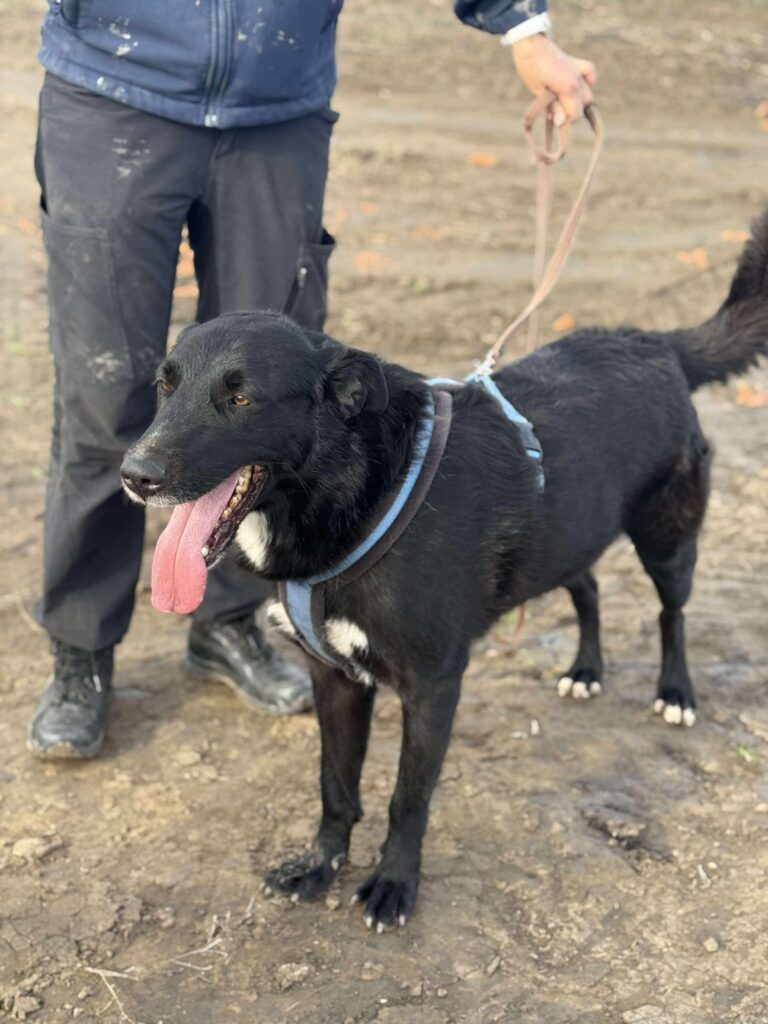 Received 789262244146695