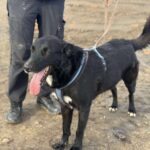 Received 789262244146695