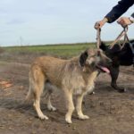 Received 802161172666480