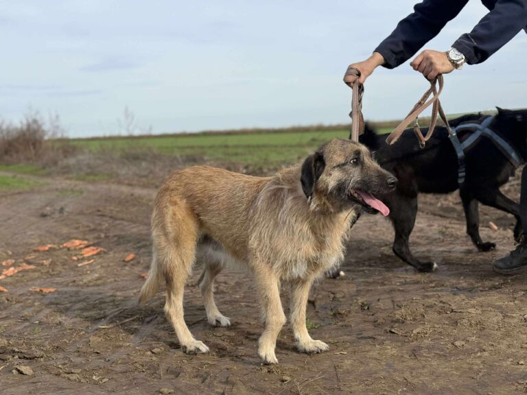 Received 802161172666480