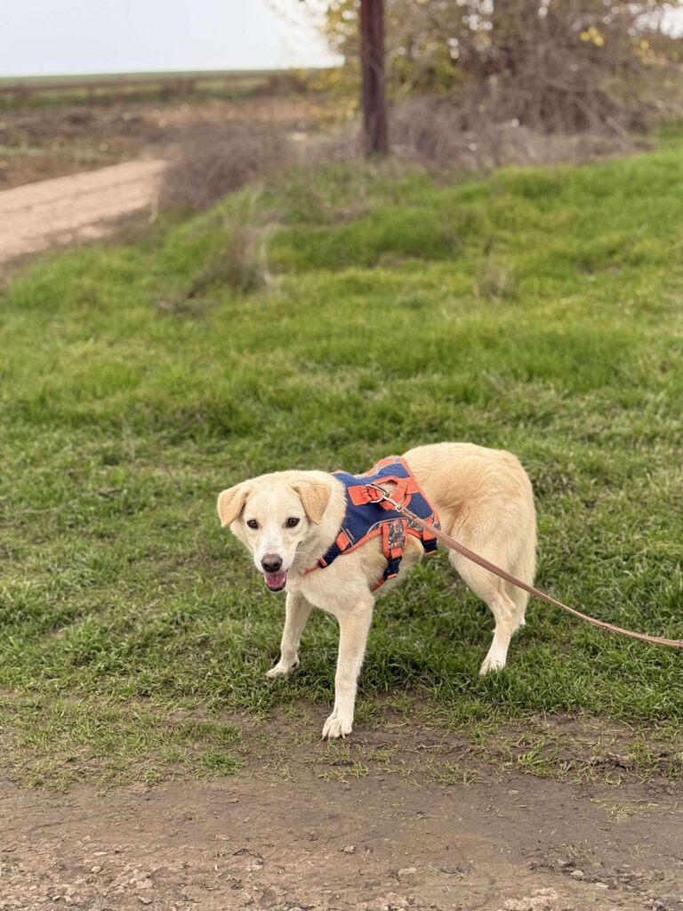 Received 809978748520247