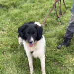 Received 810386345302277