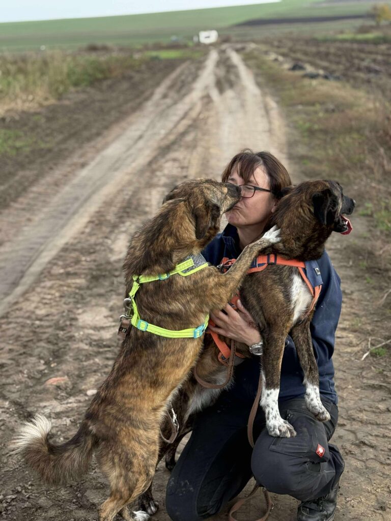 Received 814818828121547