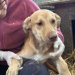 Received 820871303810634