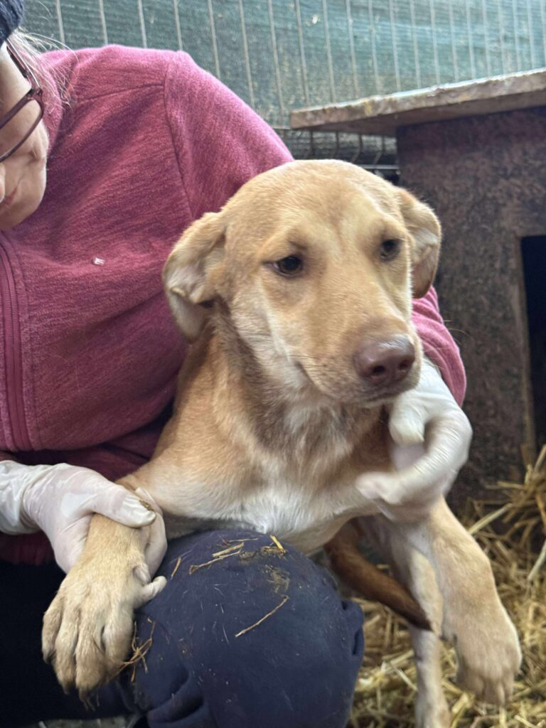 Received 820871303810634