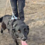 Received 821551020688526