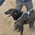 Received 830304139968088