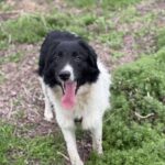 Received 831981923028445