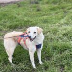 Received 837057179047584