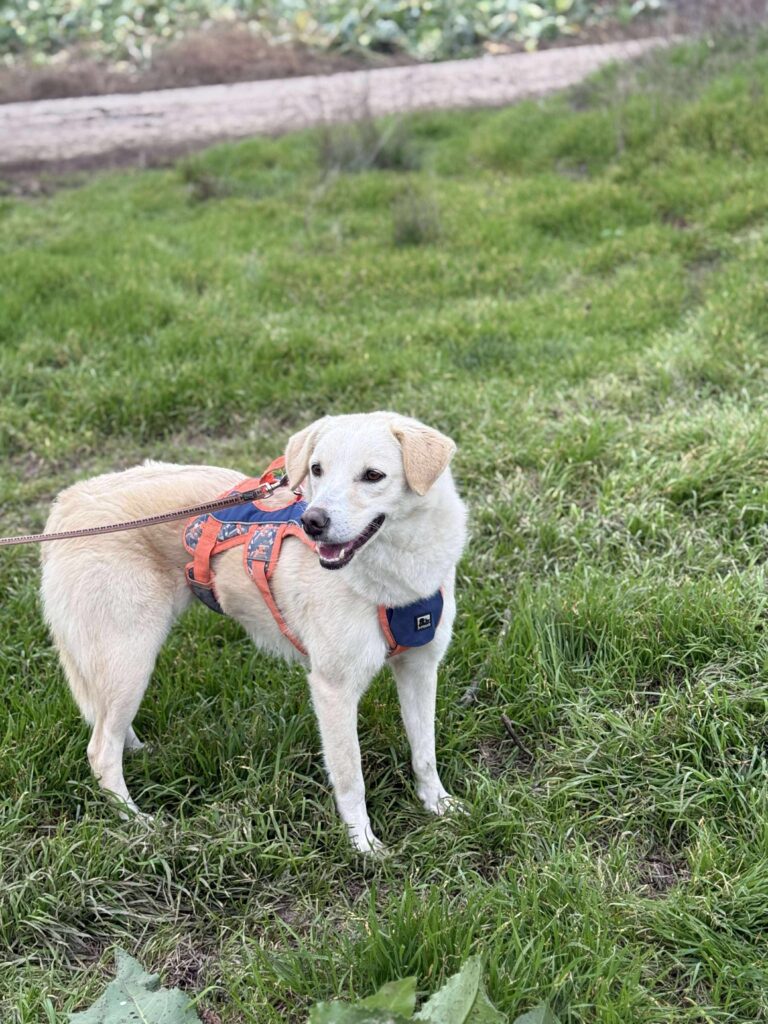 Received 837057179047584