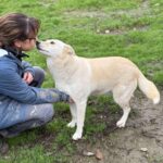 Received 838339035223249