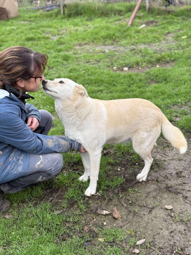 Received 838339035223249