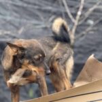 Received 842477431911965