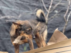 Received 842477431911965