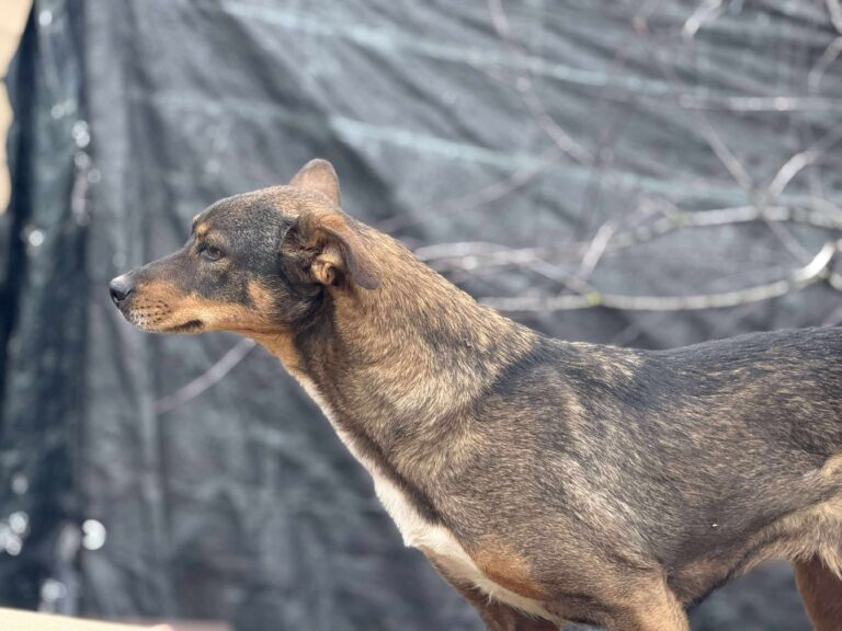 Received 849691371339300