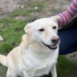 Received 855238716968344