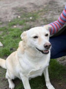 Received 855238716968344